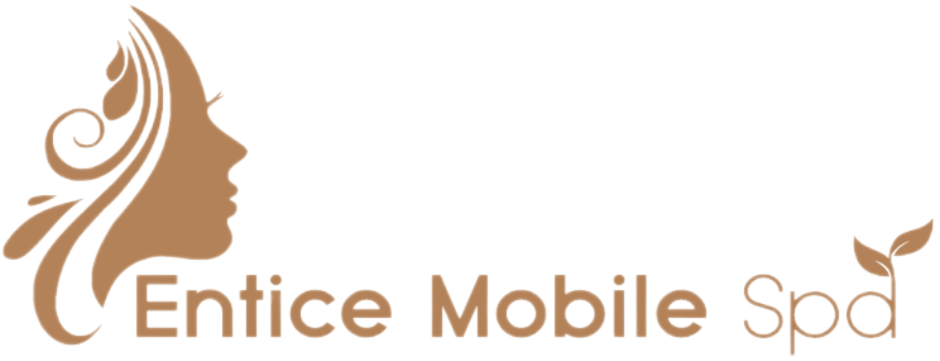 Entice Mobile Spa logo